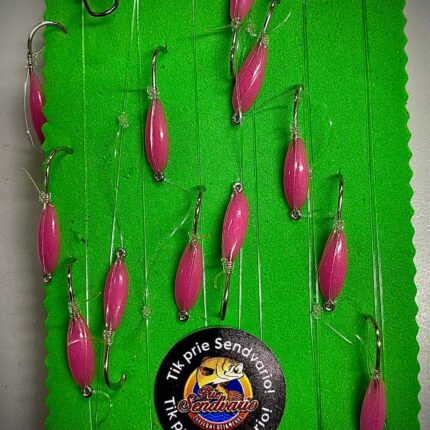 Atominė sistemėlė [12 avižėlių] (TIK PRIE SENDVARIO)