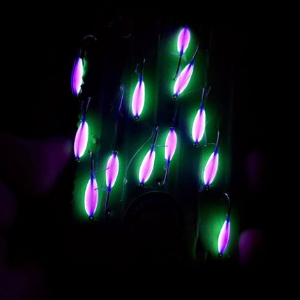 Atominė sistemėlė [12 avižėlių] (TIK PRIE SENDVARIO)