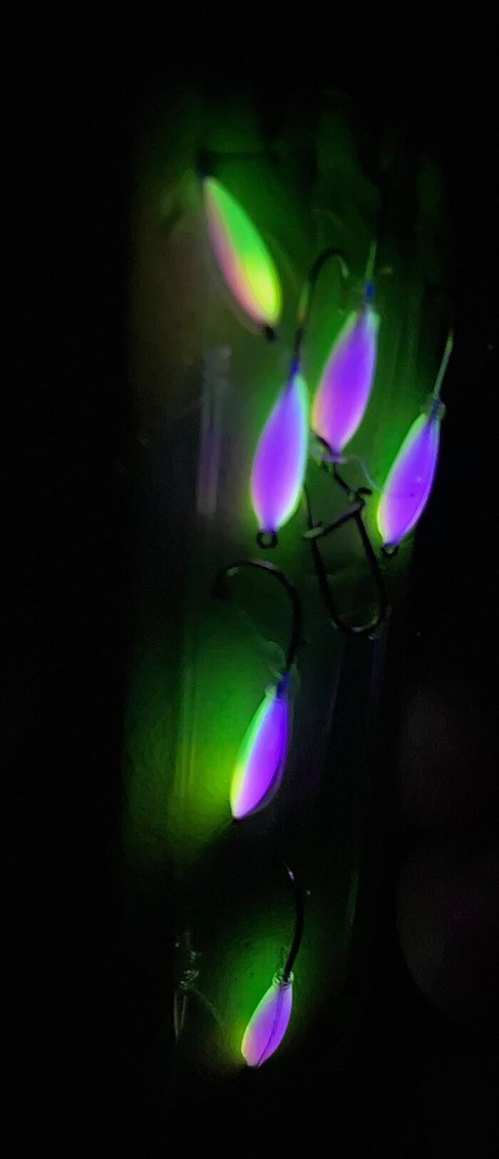Trispalvis atominis džokeris su žalia spalva (TIK PRIE SENDVARIO) [6 avižėlės]