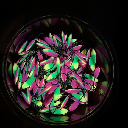 Trispalvė Persikinė stintinė avižėlė NEW-3