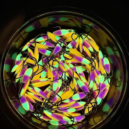 Trispalvė stintinė avižėlė NEW-7