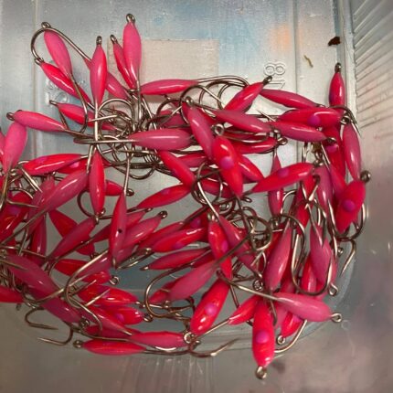 Dvispalvė stintinė avižėlė PS-27