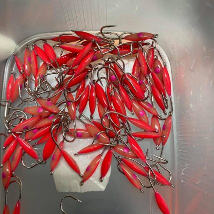 Dvispalvė stintinė avižėlė PS-36