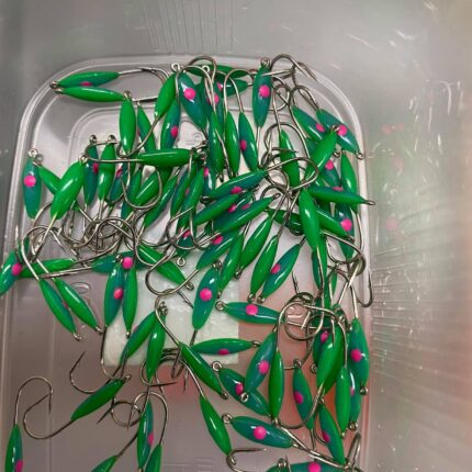 Dvispalvė stintinė avižėlė PS-37