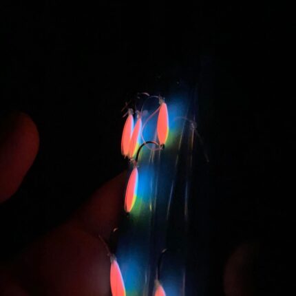 Džokerio stintinė sistemėlė [6 avižėlės]