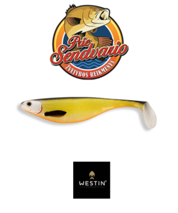 Westin Shad Teez OFFICIAL ROACH 9/12/19 CM