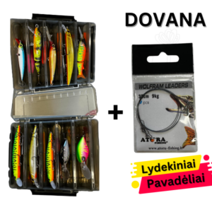 10 Įvairių Spalvinimų Voblerių Komplektas