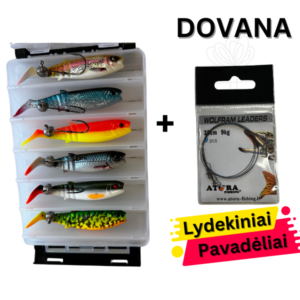 Guminių Masalų Komplektas #Savage Gear Cannibal Bulk 12Vnt 10 cm