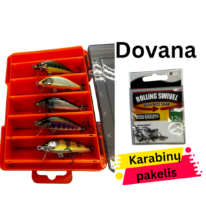 Upėtakinių Voblerių Komplektas Rapala CountDown Elite