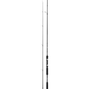 Spiningas Shimano FX XT