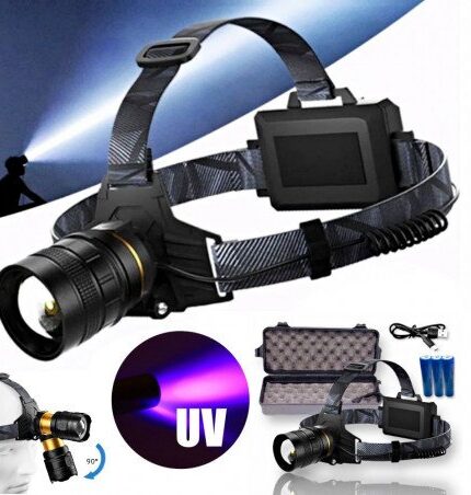 uv prozektorius ant galvos