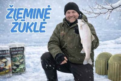 ziemine / poledine zukle internetu