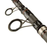 800_gc-tele-carp-evolution-2_3