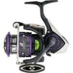 daiwa-prorex-rite