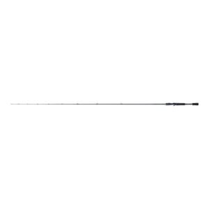 Shimano Curado Casting Fast 2,18 m H 14–42 g